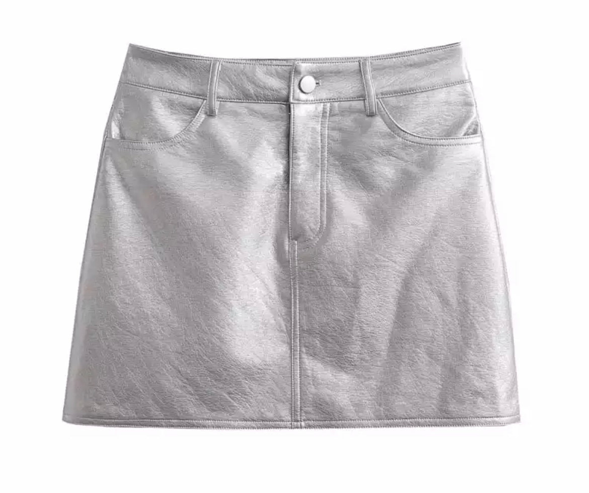 Silver Metallic Skirt