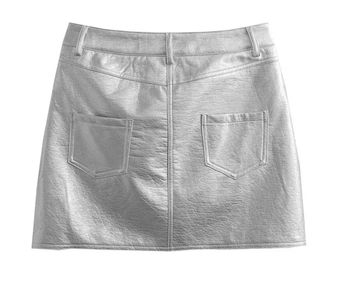 Silver Metallic Skirt